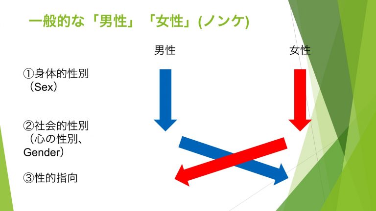 一般的な男性・女性